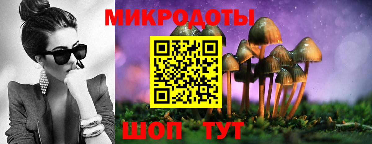 Псилоцибиновые грибы MAGIC MUSHROOMS Жуковский